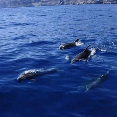 Apartment Cerca De La Playa Santiago del Teide