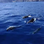 Lägenhet Cerca De La Playa Santiago del Teide